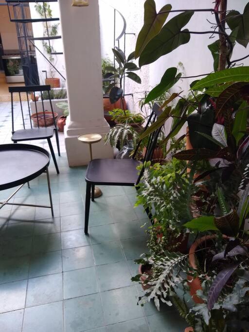 Casa Cuauhtemoc Villa Гуадалахара Екстериор снимка