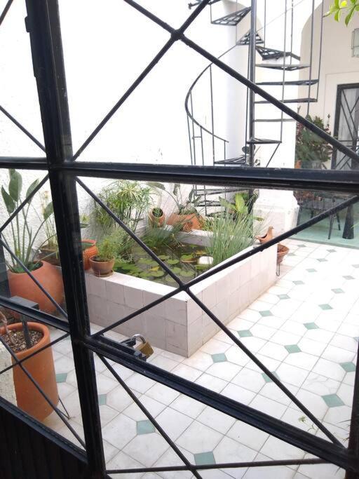 Casa Cuauhtemoc Villa Гуадалахара Екстериор снимка