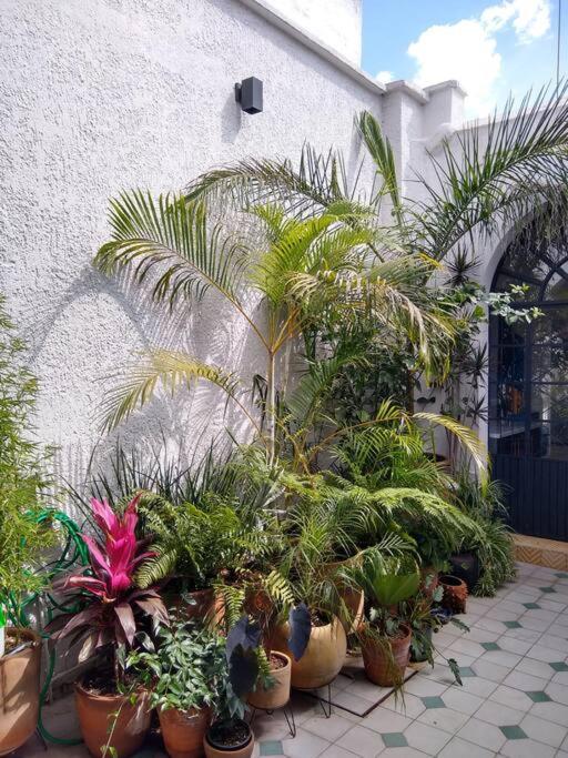 Casa Cuauhtemoc Villa Гуадалахара Екстериор снимка